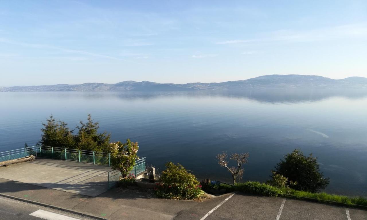 Hotel Le Léman